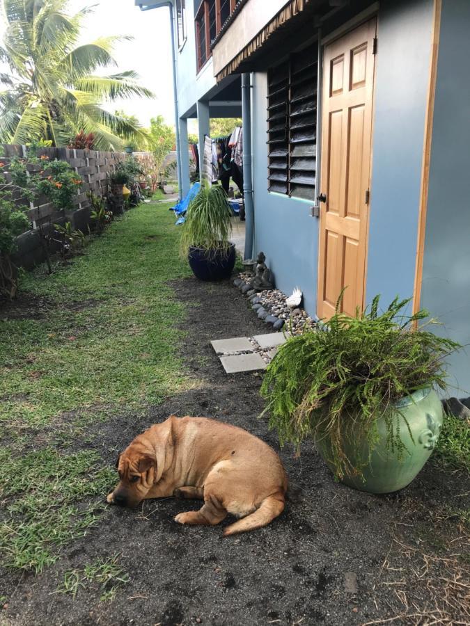 Pointe Venus Lodge Mahina Exteriör bild